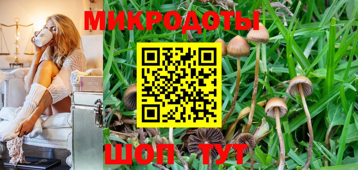Галлюциногенные грибы Magic Shrooms  Галлюциногенные грибы мухоморы  Вход с VPN  Каменка 