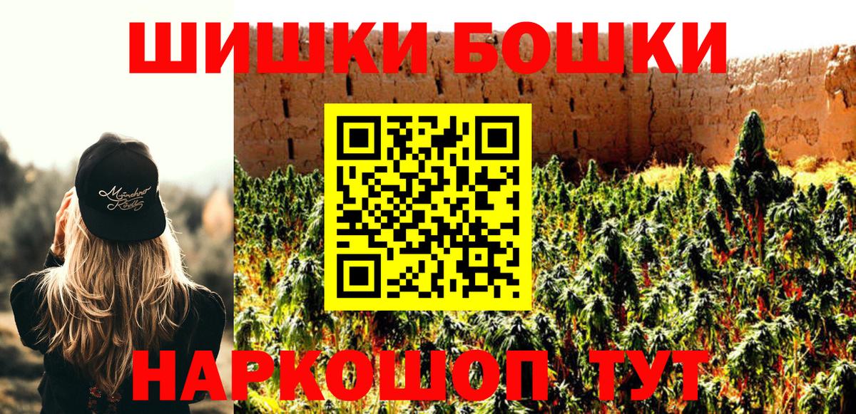 МЕФ Каменка